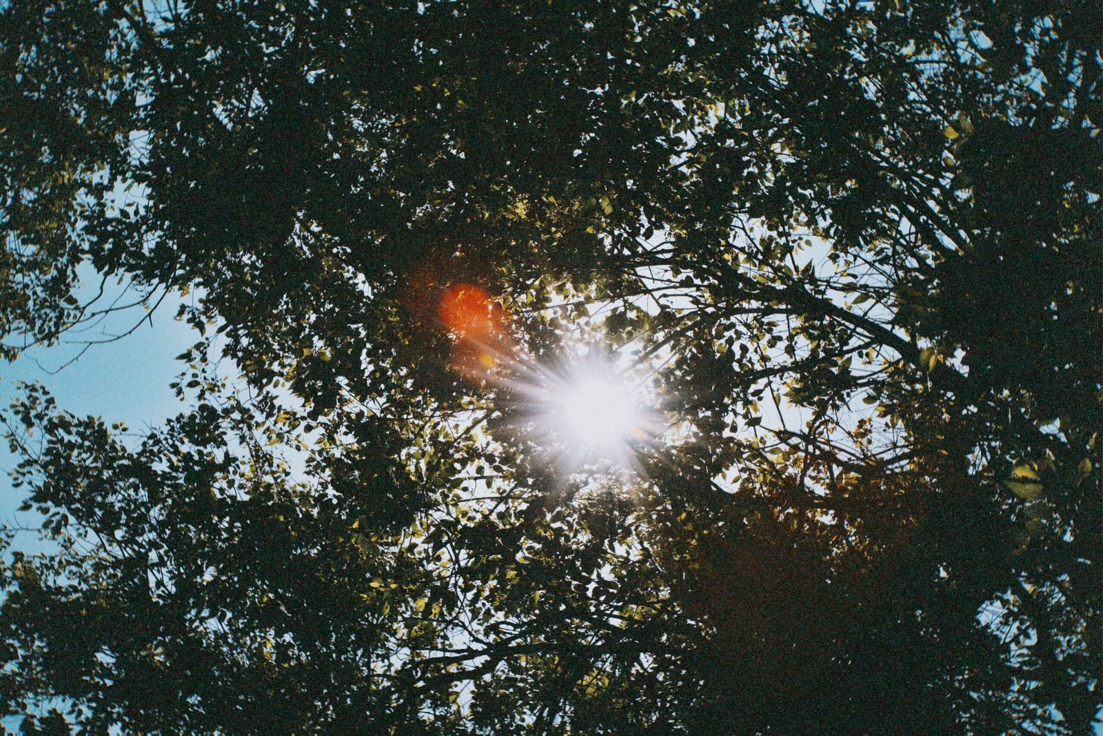 Bright Light